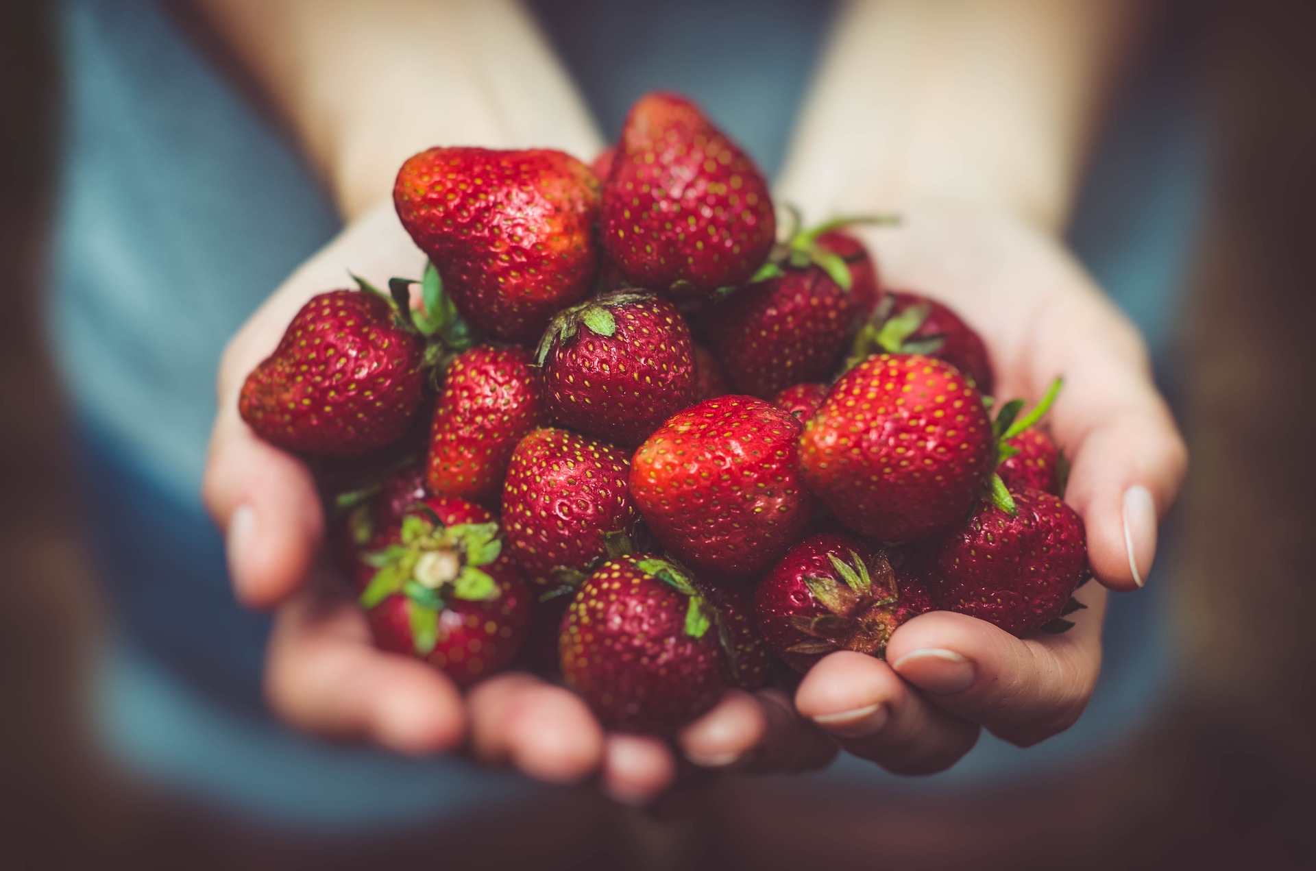 strawberries-1835934_1920 strawberries-1835934_1920